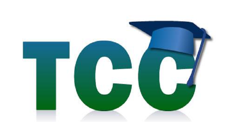 Cronograma Defesa TCC 2024/02 Letras-Libras